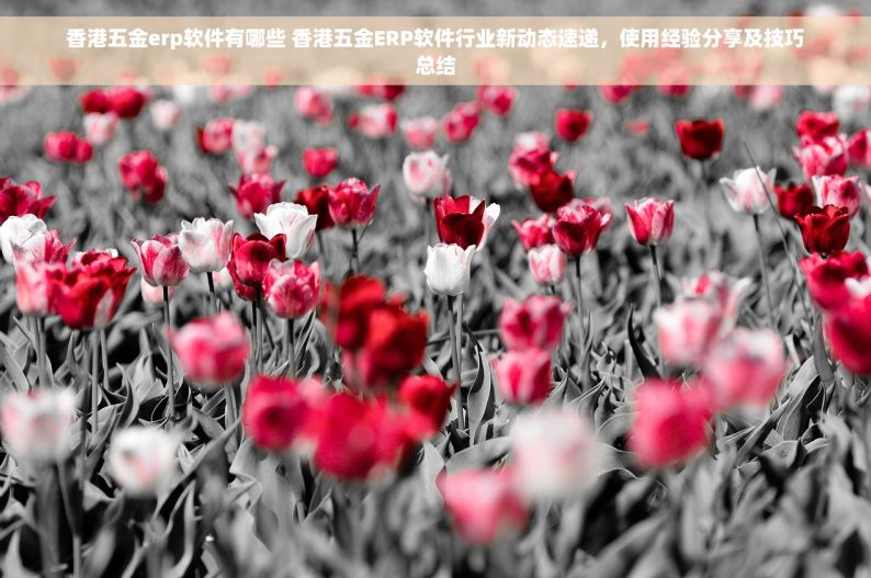 香港五金erp软件有哪些 香港五金ERP软件行业新动态速递，使用经验分享及技巧总结