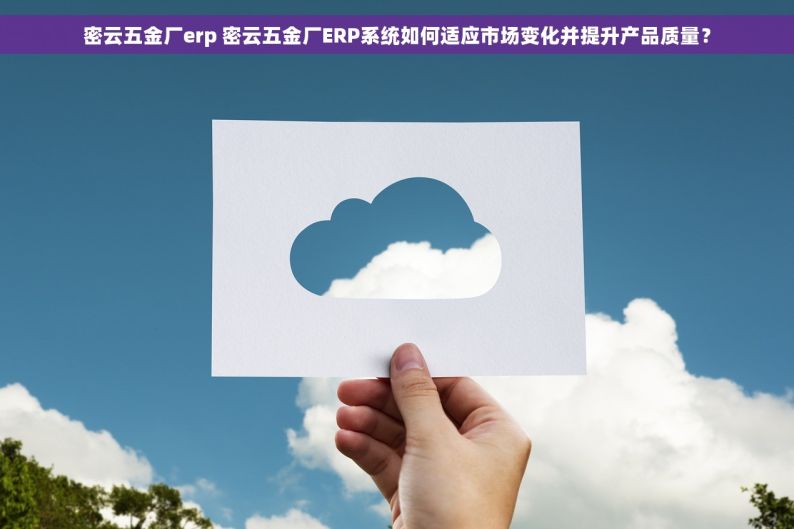 密云五金厂erp 密云五金厂ERP系统如何适应市场变化并提升产品质量？