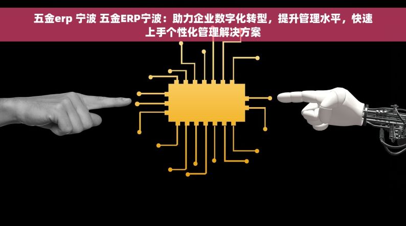 五金erp 宁波 五金ERP宁波：助力企业数字化转型，提升管理水平，快速上手个性化管理解决方案