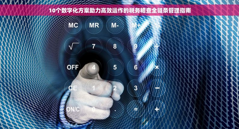 10个数字化方案助力高效运作的税务稽查全链条管理指南