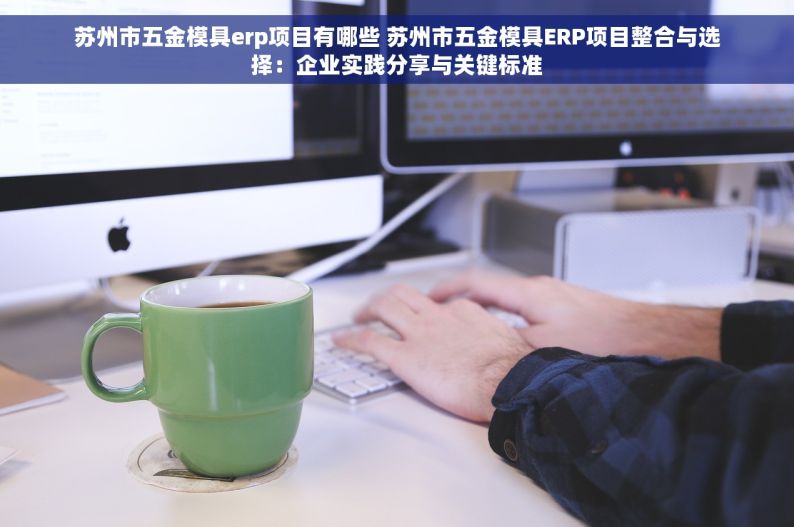 苏州市五金模具erp项目有哪些 苏州市五金模具ERP项目整合与选择：企业实践分享与关键标准