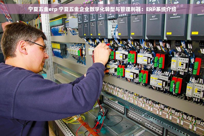 宁夏五金erp 宁夏五金企业数字化转型与管理利器：ERP系统介绍