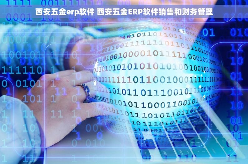 西安五金erp软件 西安五金ERP软件销售和财务管理