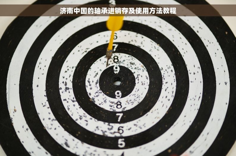 济南中国的轴承进销存及使用方法教程