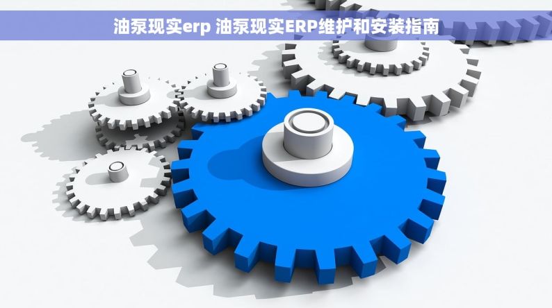 油泵现实erp 油泵现实ERP维护和安装指南