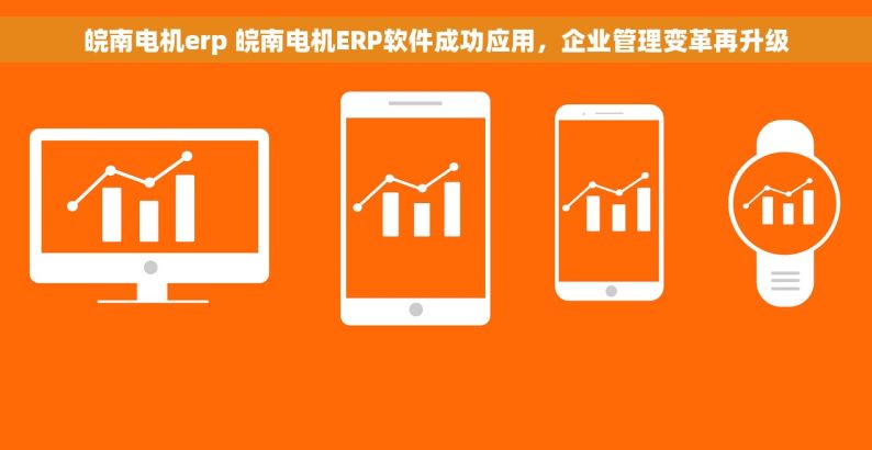 皖南电机erp 皖南电机ERP软件成功应用，企业管理变革再升级