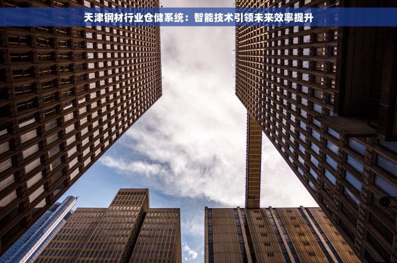 天津钢材行业仓储系统：智能技术引领未来效率提升