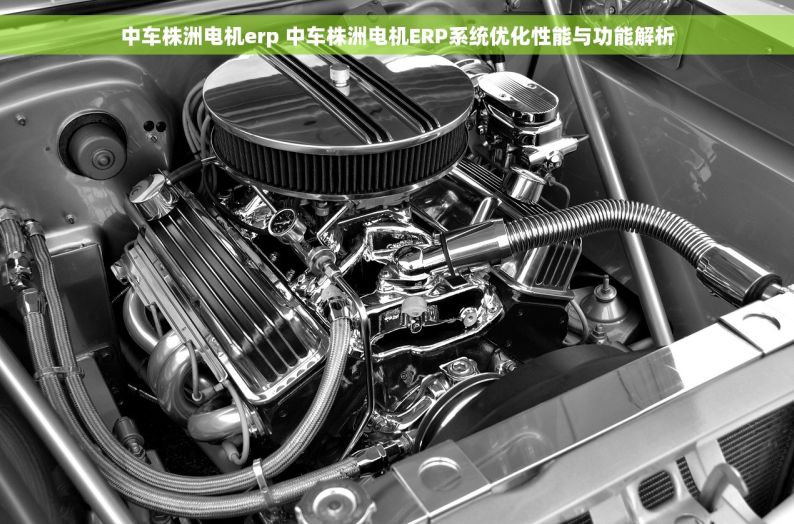 中车株洲电机erp 中车株洲电机ERP系统优化性能与功能解析