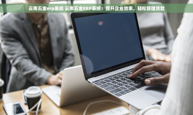 云南五金erp系统 云南五金ERP系统：提升企业效率，轻松管理货款