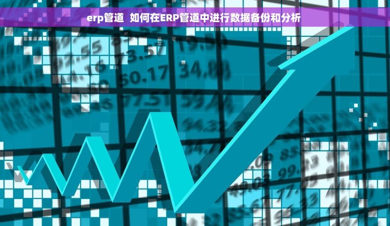 erp管道  如何在ERP管道中进行数据备份和分析 