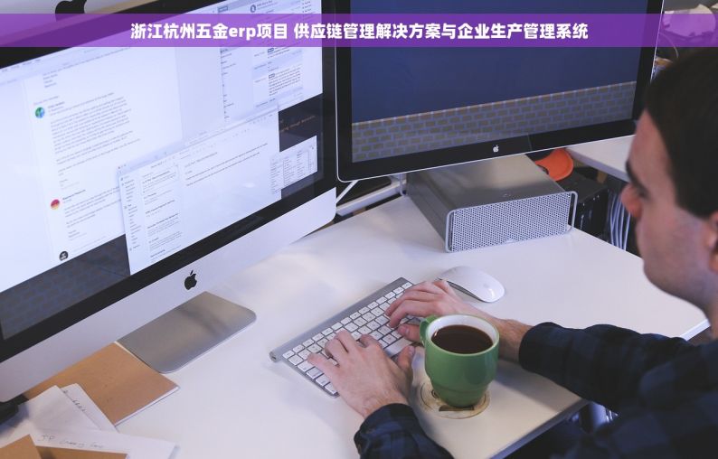 浙江杭州五金erp项目 供应链管理解决方案与企业生产管理系统