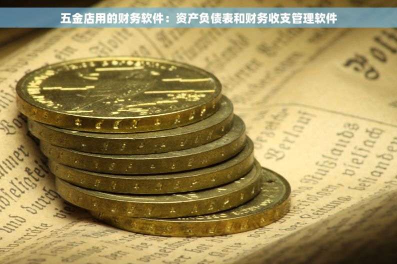 五金店用的财务软件：资产负债表和财务收支管理软件