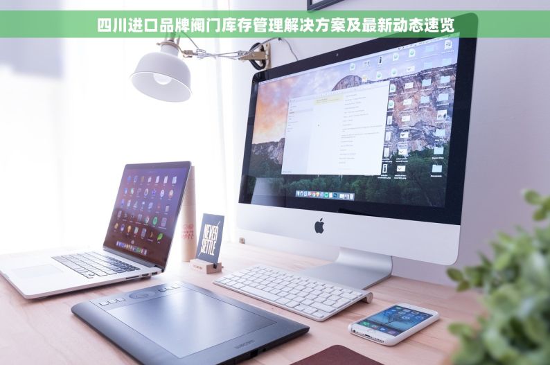 四川进口品牌阀门库存管理解决方案及最新动态速览