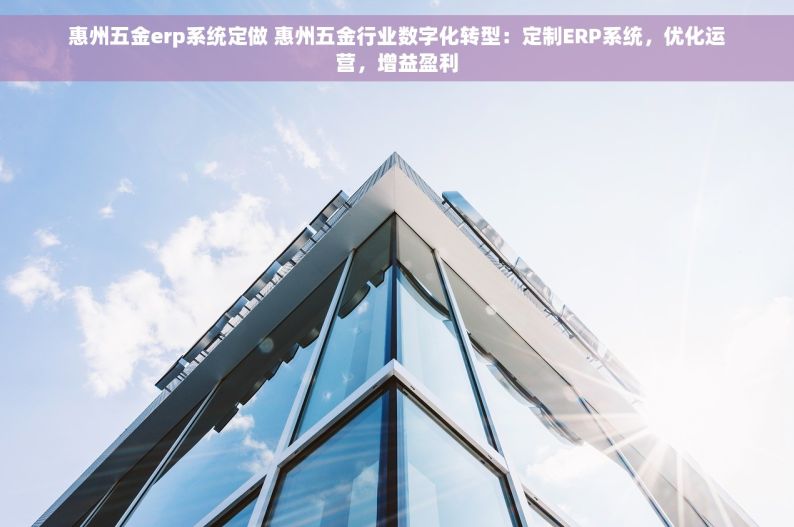 惠州五金erp系统定做 惠州五金行业数字化转型：定制ERP系统，优化运营，增益盈利