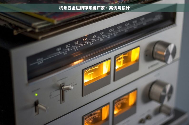 杭州五金进销存系统厂家：案例与设计