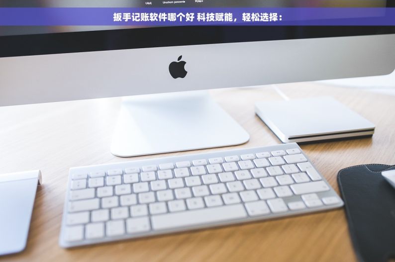 扳手记账软件哪个好 科技赋能，轻松选择：