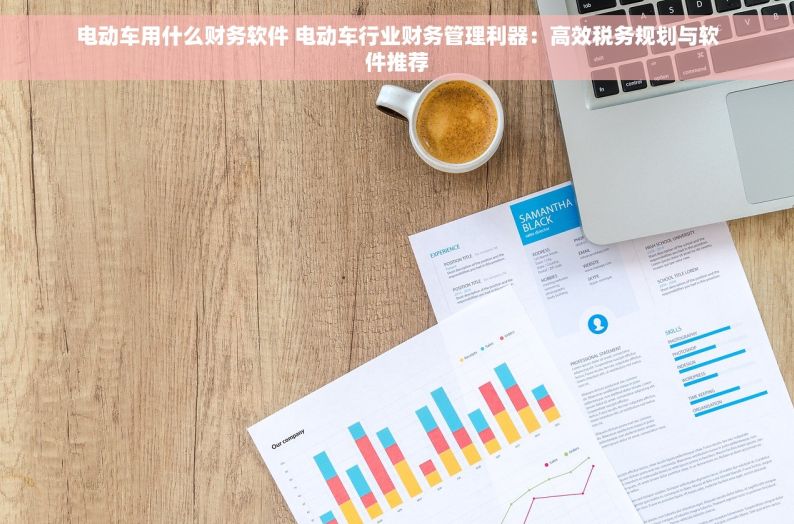 电动车用什么财务软件 电动车行业财务管理利器：高效税务规划与软件推荐