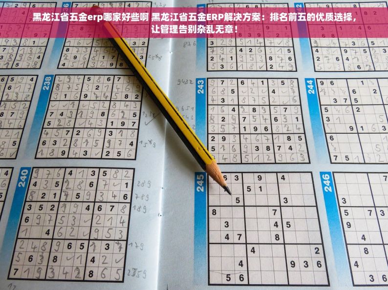 黑龙江省五金erp哪家好些啊 黑龙江省五金ERP解决方案：排名前五的优质选择，让管理告别杂乱无章！