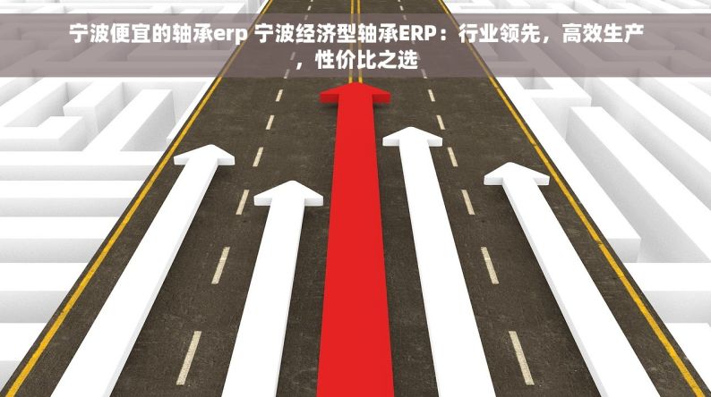 宁波便宜的轴承erp 宁波经济型轴承ERP：行业领先，高效生产，性价比之选