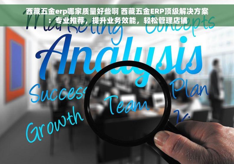 湖北省五金erp哪家正规一点 湖北五金ERP智能升级：从新手到行家，打造店铺管理新高度