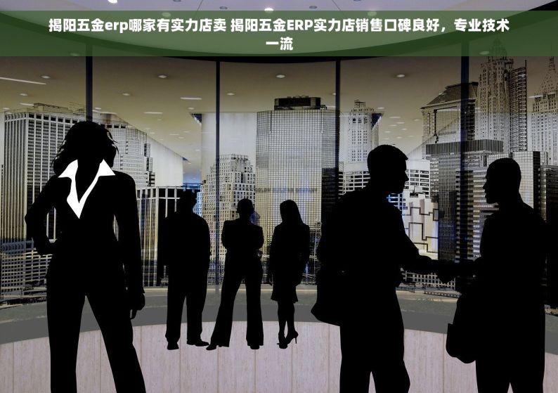揭阳五金erp哪家有实力店卖 揭阳五金ERP实力店销售口碑良好，专业技术一流
