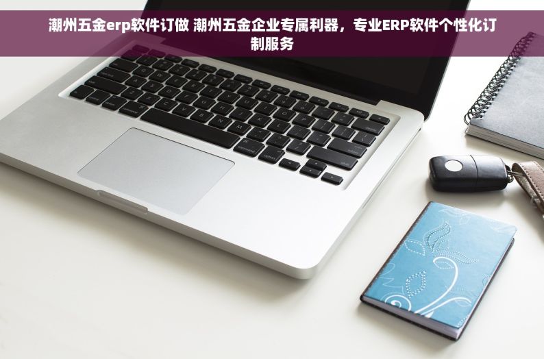 潮州五金erp软件订做 潮州五金企业专属利器，专业ERP软件个性化订制服务