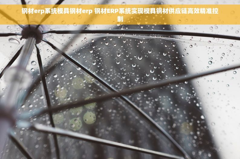 钢材erp系统模具钢材erp 钢材ERP系统实现模具钢材供应链高效精准控制