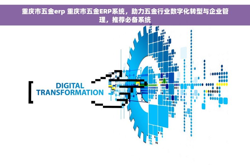 重庆市五金erp 重庆市五金ERP系统，助力五金行业数字化转型与企业管理，推荐必备系统