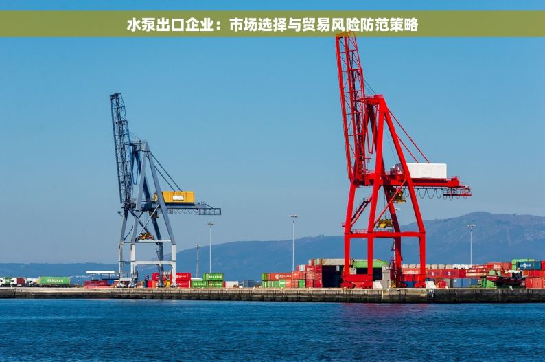 水泵出口企业：市场选择与贸易风险防范策略