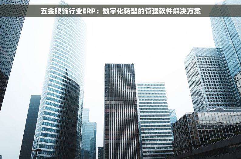 五金服饰行业ERP：数字化转型的管理软件解决方案