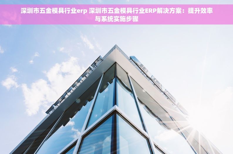 深圳市五金模具行业erp 深圳市五金模具行业ERP解决方案：提升效率与系统实施步骤