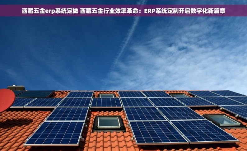 西藏五金erp系统定做 西藏五金行业效率革命：ERP系统定制开启数字化新篇章