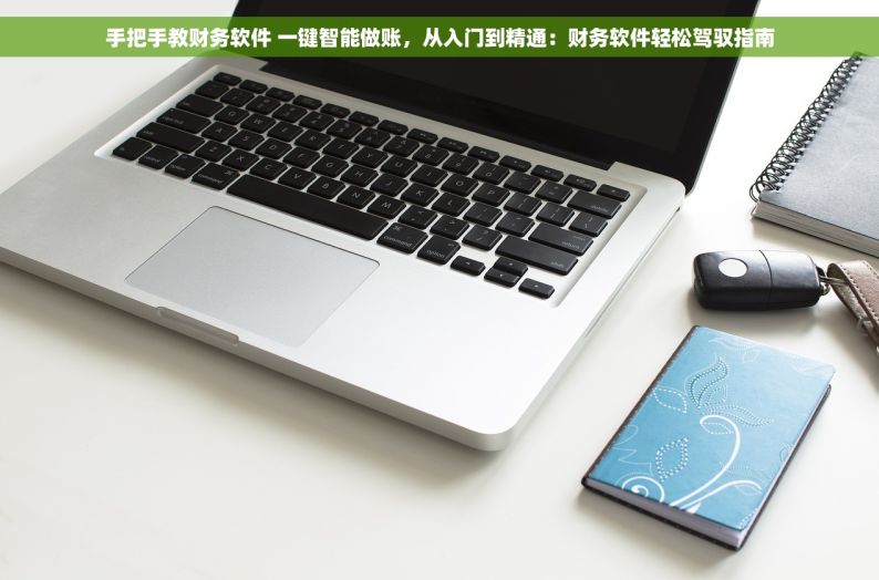 手把手教财务软件 一键智能做账，从入门到精通：财务软件轻松驾驭指南