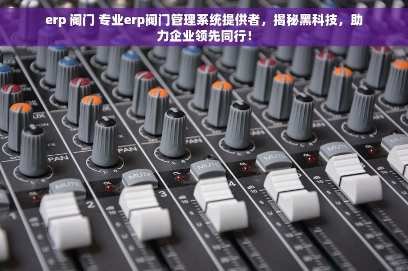erp 阀门 专业erp阀门管理系统提供者，揭秘黑科技，助力企业领先同行！