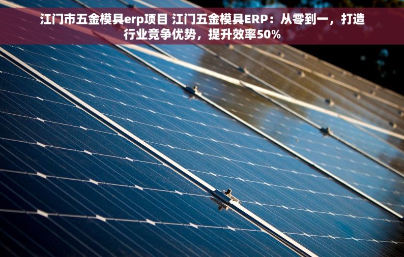 江门市五金模具erp项目 江门五金模具ERP：从零到一，打造行业竞争优势，提升效率50%