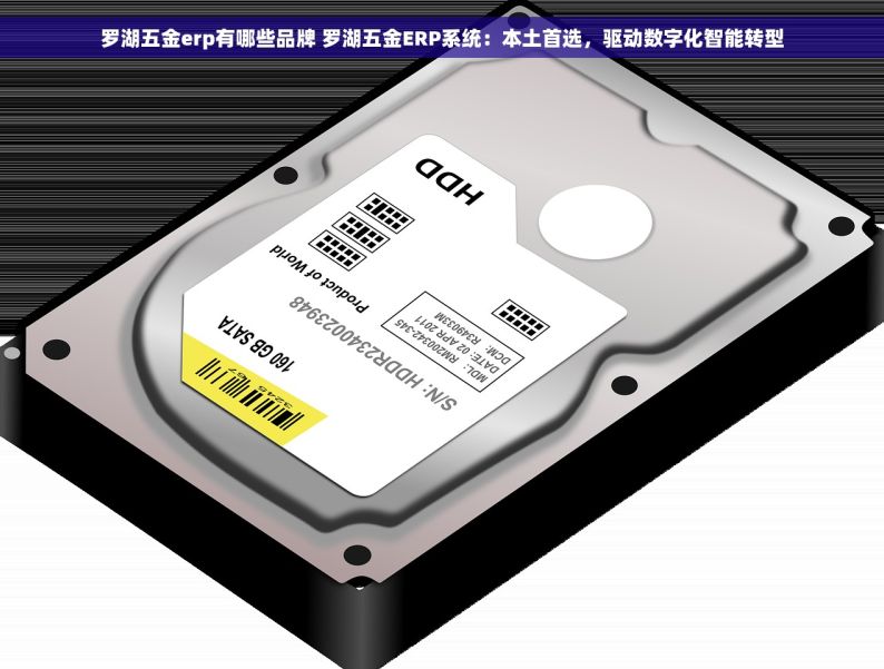 罗湖五金erp有哪些品牌 罗湖五金ERP系统：本土首选，驱动数字化智能转型