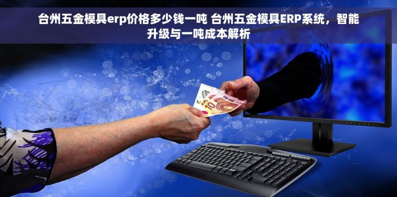 台州五金模具erp价格多少钱一吨 台州五金模具ERP系统，智能升级与一吨成本解析