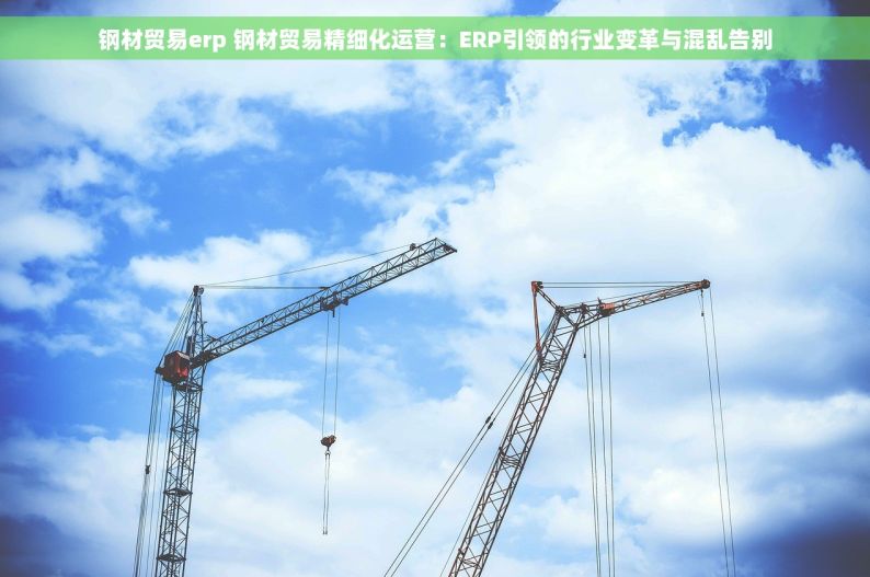 钢材贸易erp 钢材贸易精细化运营：ERP引领的行业变革与混乱告别