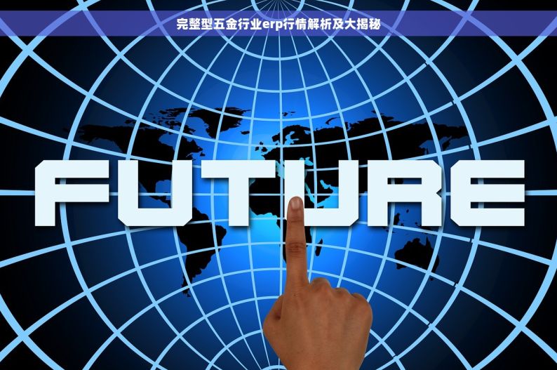 完整型五金行业erp行情解析及大揭秘