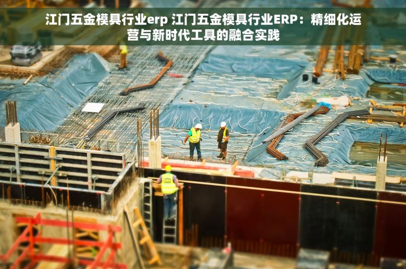 江门五金模具行业erp 江门五金模具行业ERP：精细化运营与新时代工具的融合实践