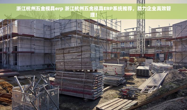 浙江杭州五金模具erp 浙江杭州五金模具ERP系统推荐，助力企业高效管理！
