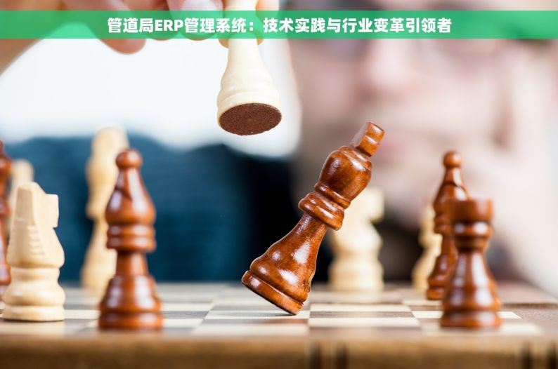管道局ERP管理系统：技术实践与行业变革引领者