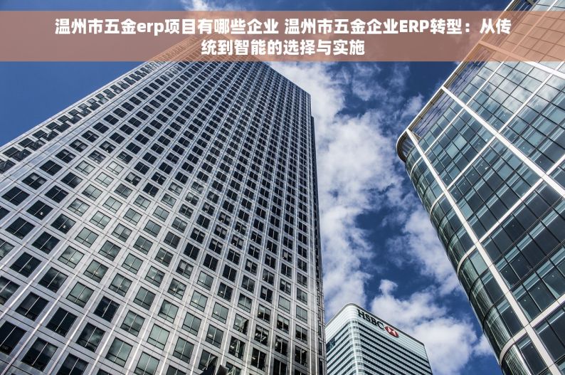温州市五金erp项目有哪些企业 温州市五金企业ERP转型：从传统到智能的选择与实施