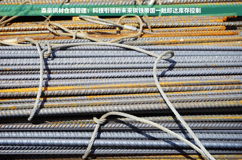 钢材erp软件服务商是什么 智能钢材ERP：告别库存积压，引领行业革新