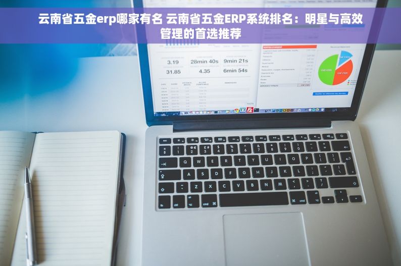 云南省五金erp哪家有名 云南省五金ERP系统排名：明星与高效管理的首选推荐
