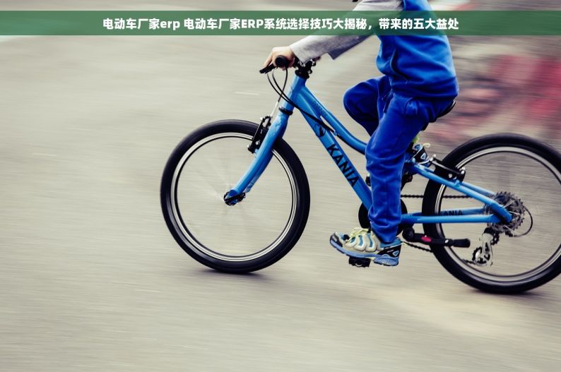 电动车厂家erp 电动车厂家ERP系统选择技巧大揭秘，带来的五大益处