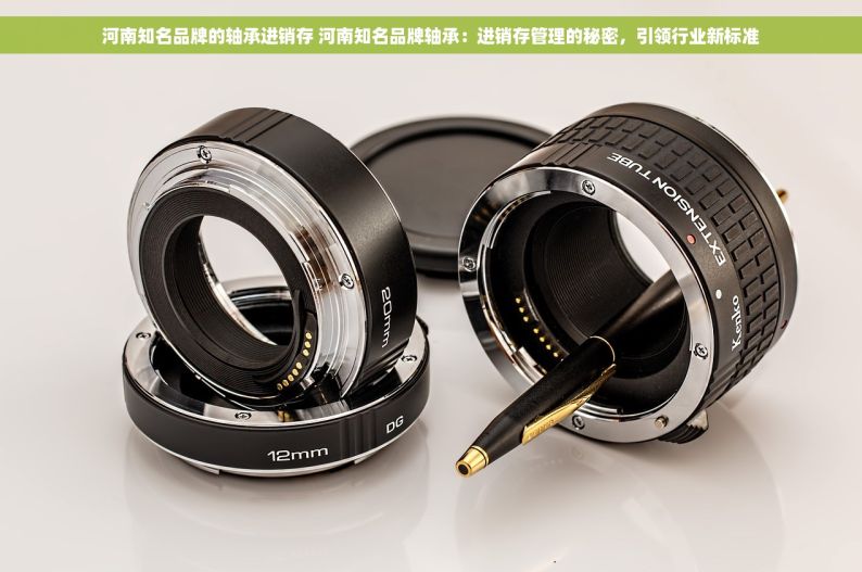 河南知名品牌的轴承进销存 河南知名品牌轴承：进销存管理的秘密，引领行业新标准