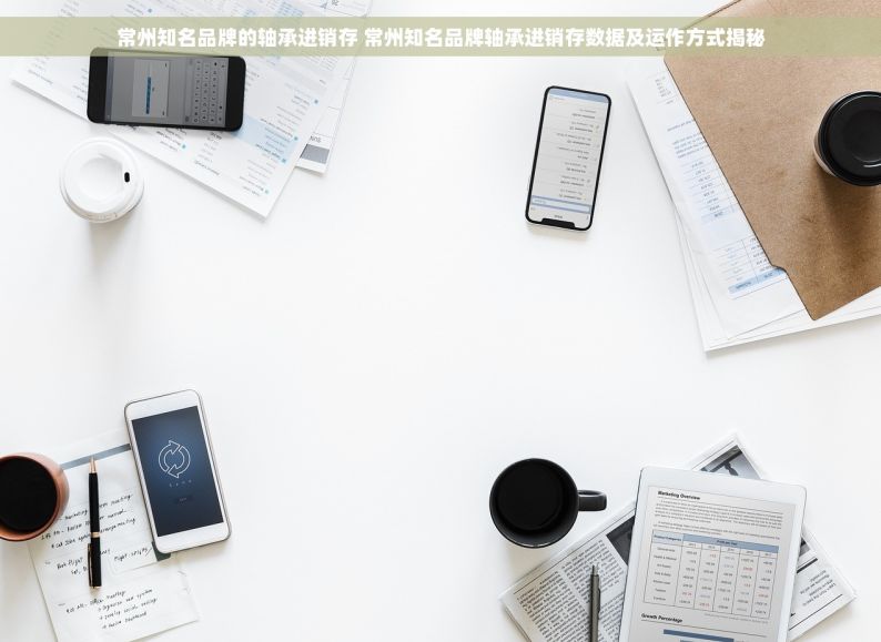 常州知名品牌的轴承进销存 常州知名品牌轴承进销存数据及运作方式揭秘