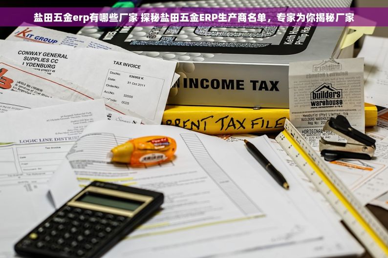 盐田五金erp有哪些厂家 探秘盐田五金ERP生产商名单，专家为你揭秘厂家