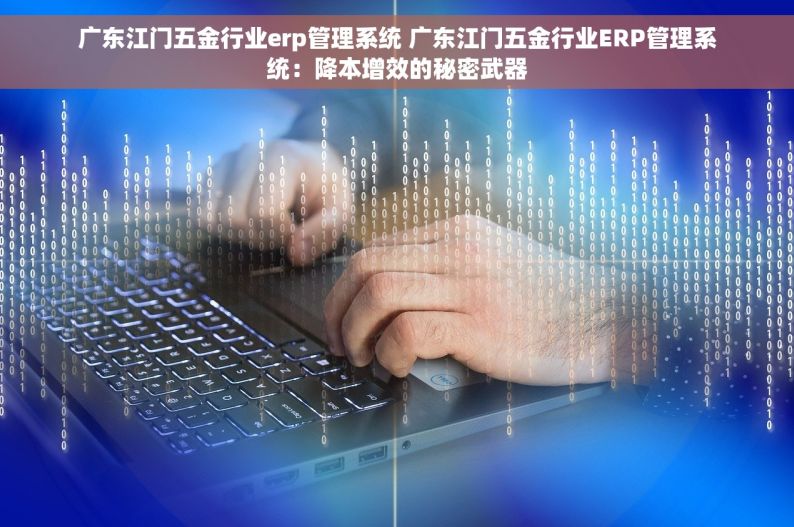 广东江门五金行业erp管理系统 广东江门五金行业ERP管理系统：降本增效的秘密武器